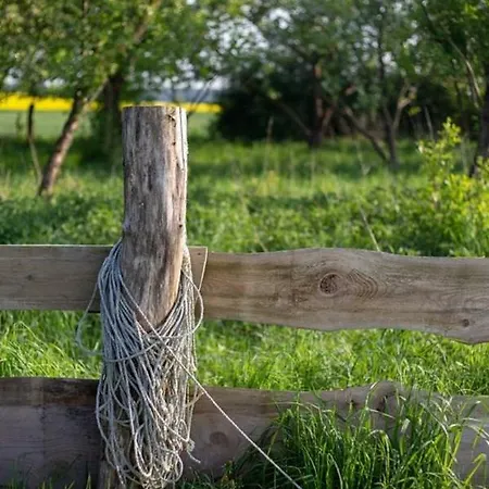 Prázdninový dům Landhausidylle In Naturparknaehe *