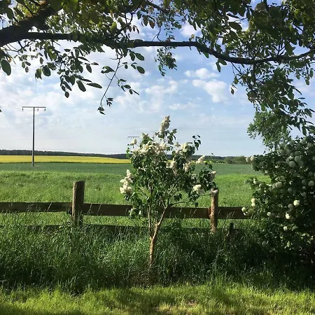 Landhausidylle In Naturparknaehe * Reimershagen